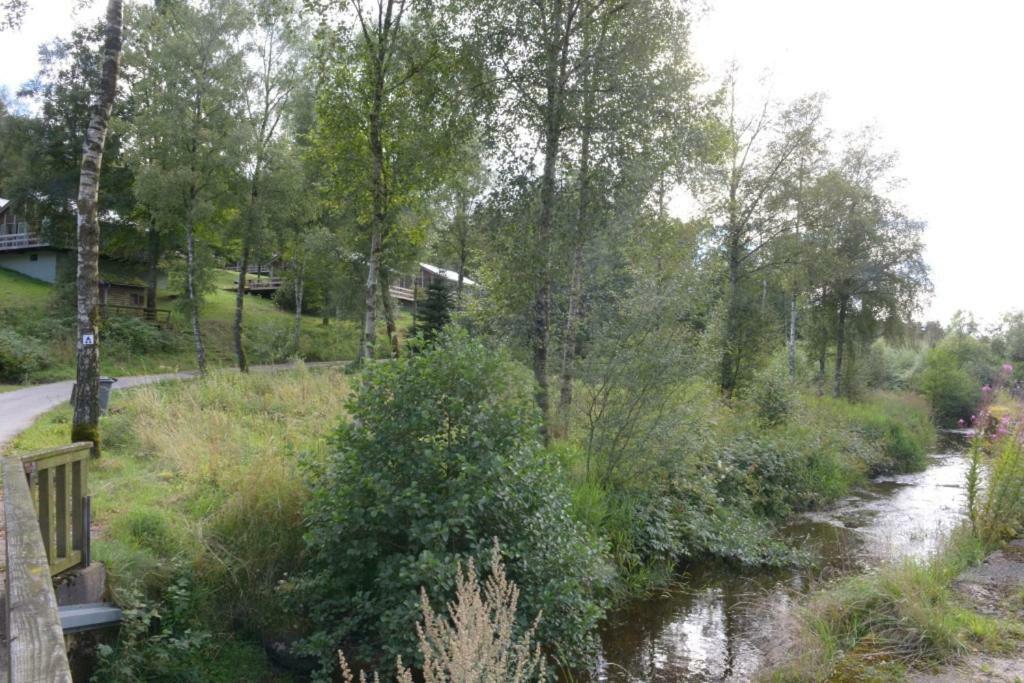 A l Orée du bois Bullange/Büllingen Esterno foto