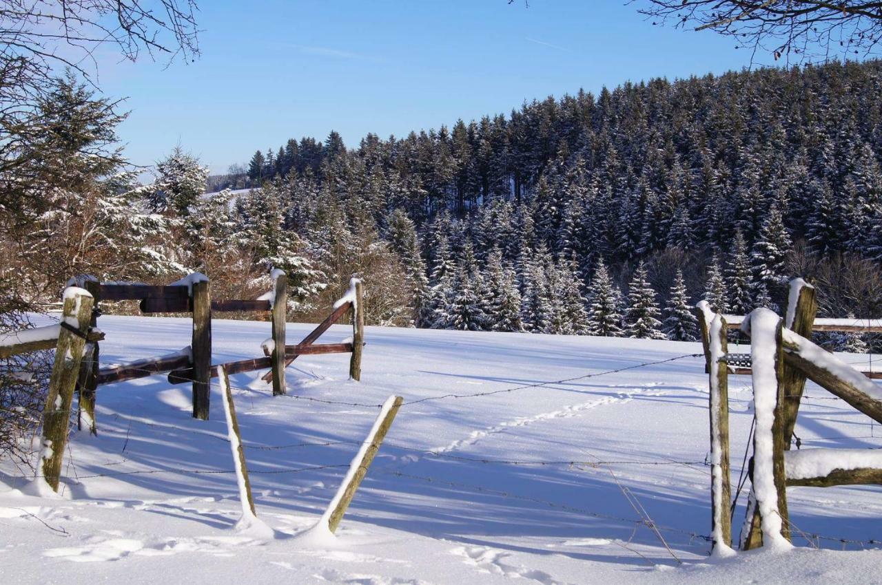 A l Orée du bois Bullange/Büllingen Esterno foto